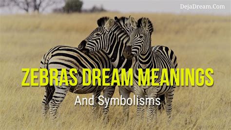  Zebra Dreams - A Journey Through Tribal Legends and Forgotten Wisdom